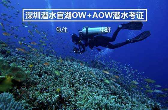 探索知识星球平台,畅享孩子有些讨好型人格倾向,父母该如何正确引导?的海量知识
